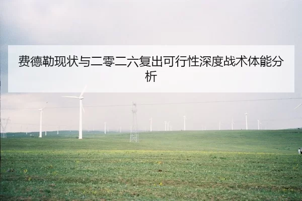 fei-de-lei-xian-zhuang-yu-er-ling-er-liu-fu-chu-ke-xing-xing-shen-du-zhan-shu-ti-neng-fen-xi-2-511.jpg